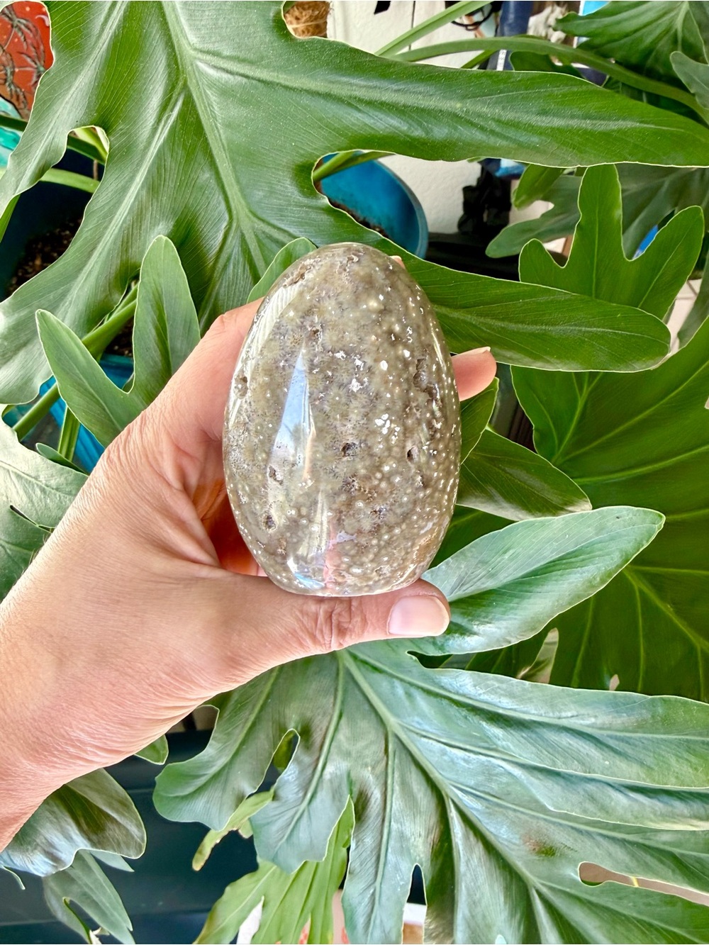 Ocean Jasper Freeform from Madagascar